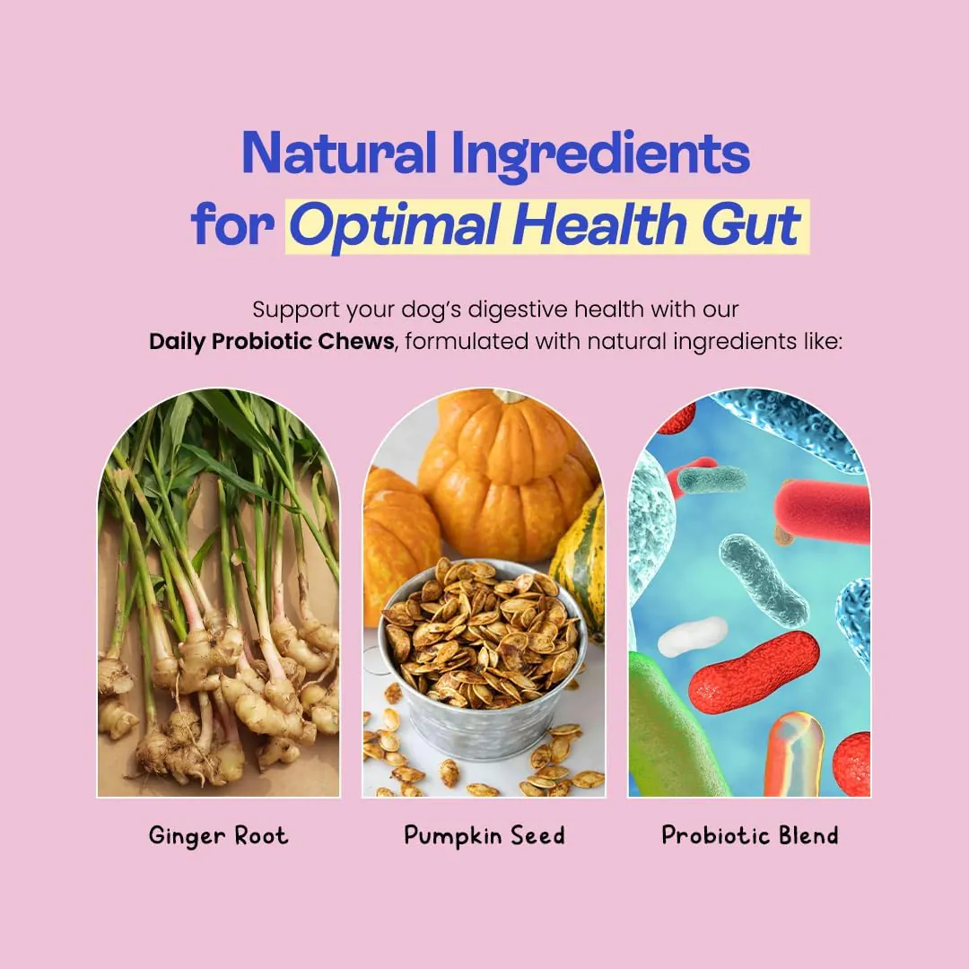 Probiotics for Dogs - Turkey Flavor - Image 4